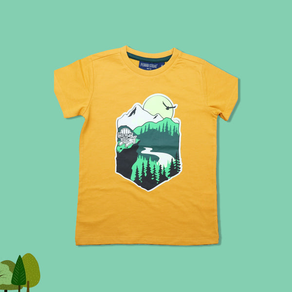 Short sleeve Boys T-shirt with chest print